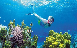 wisata-surga-bawah-laut-bunaken