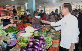 presiden-jokowi-melakukan-peninjauan-harga-di-pasar-kotawaringin-timur
