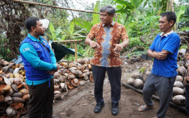kementerian-perindustrian-menyusun-roadmap-hilirisasi-kelapa-di-lombok